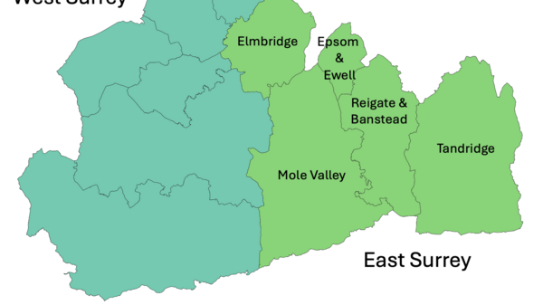 Map of the new East Surrey Unitary Council Area